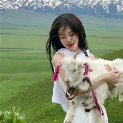 刘老根2